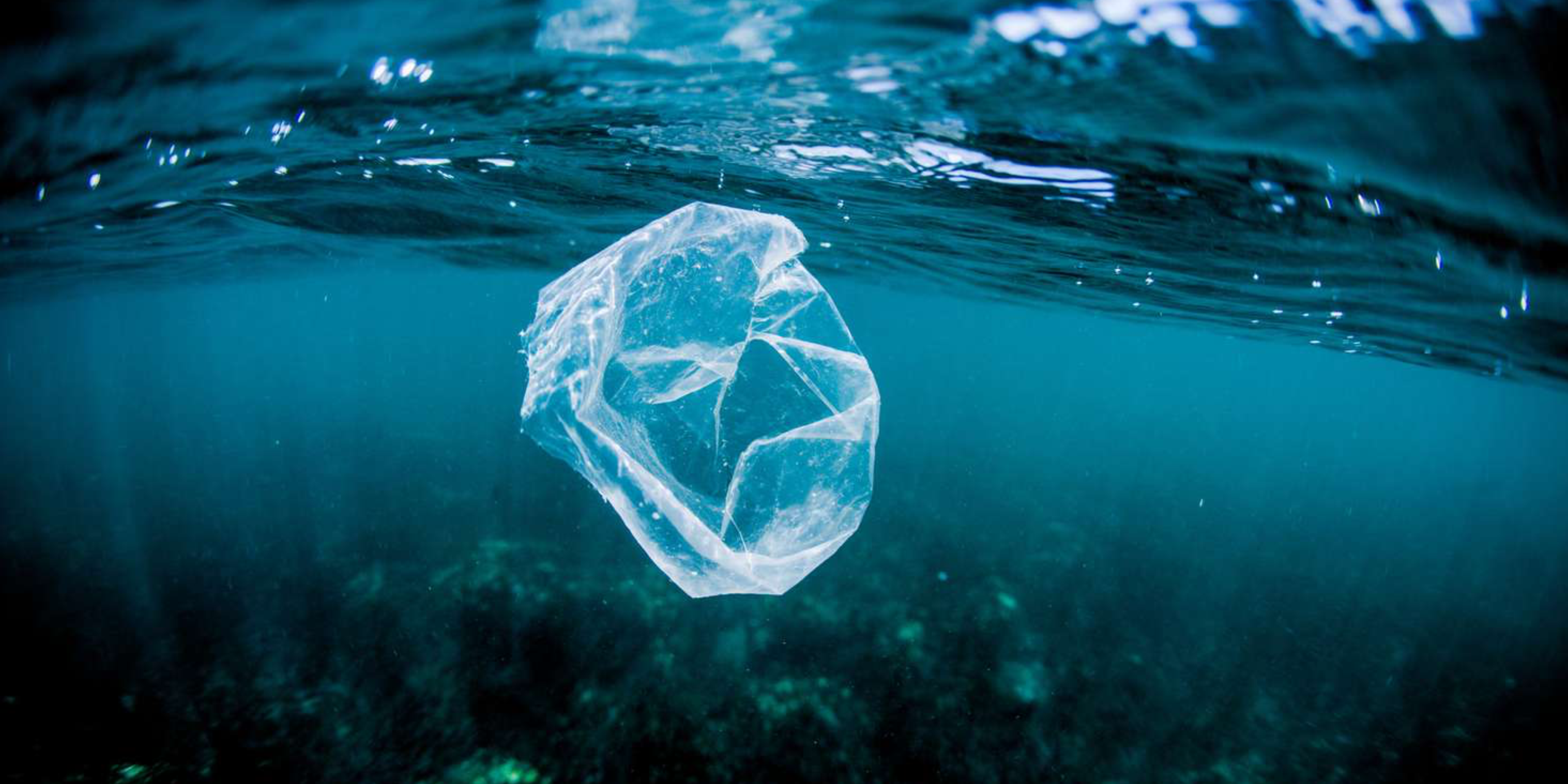 Plastic Bag floating 