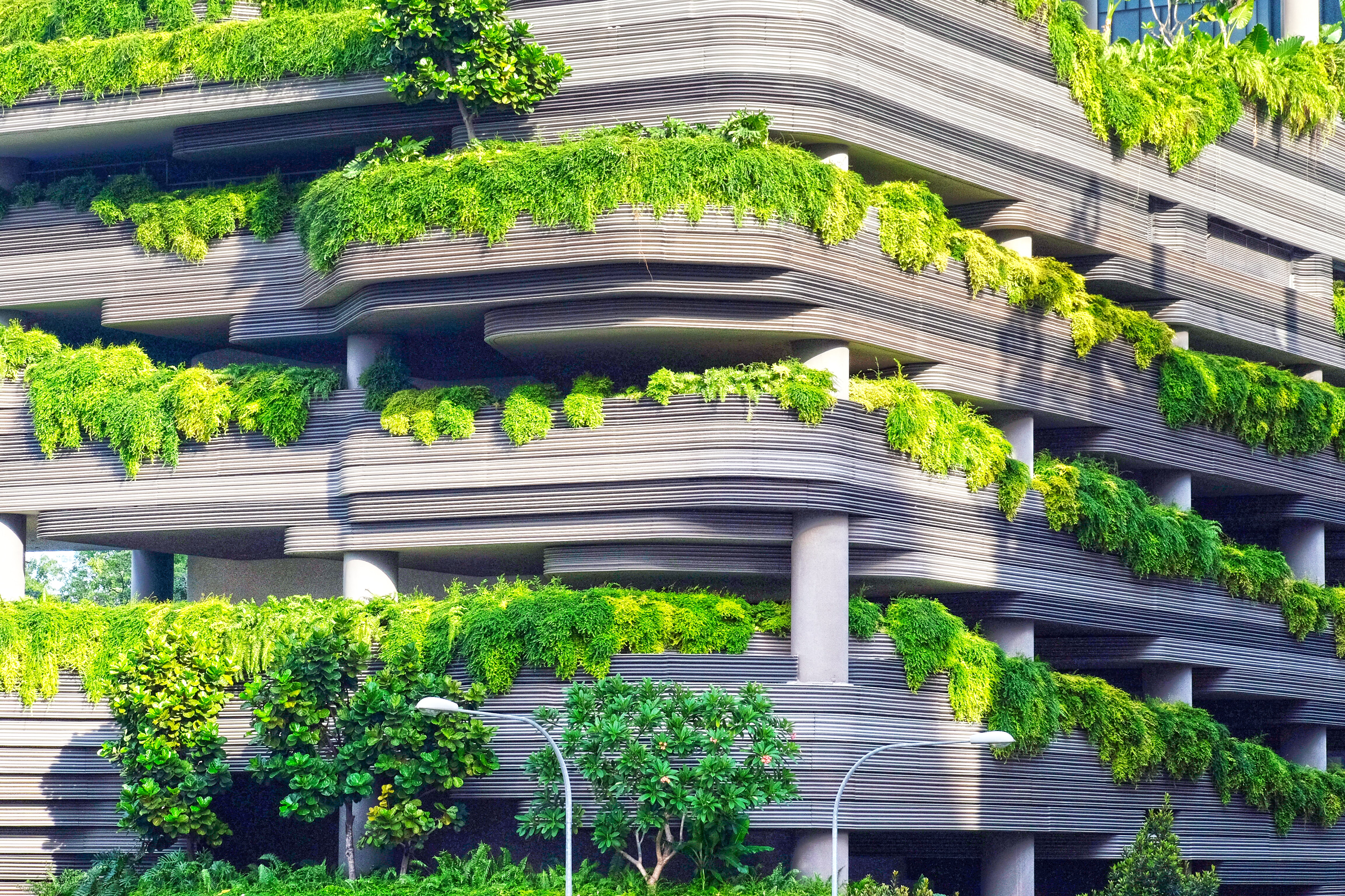 Circular Economy Sustainable Future 2024